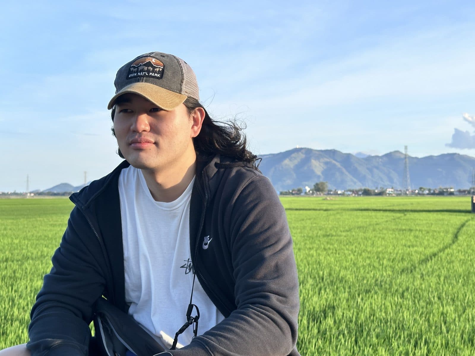 A green rice field under mountains at golden hour